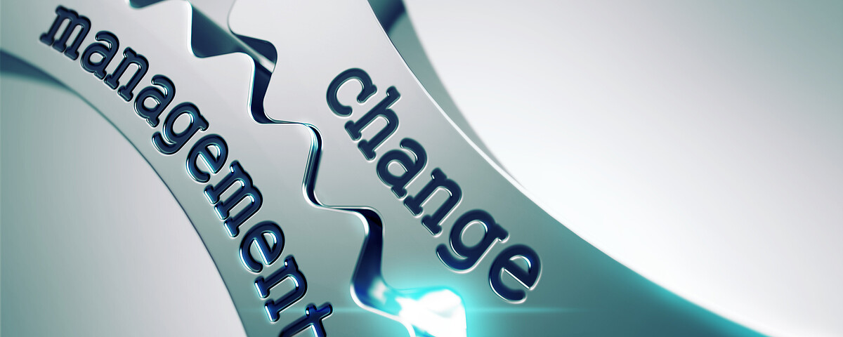 Change Management und KI Governance: Ein Interview mit unserem Change Experten